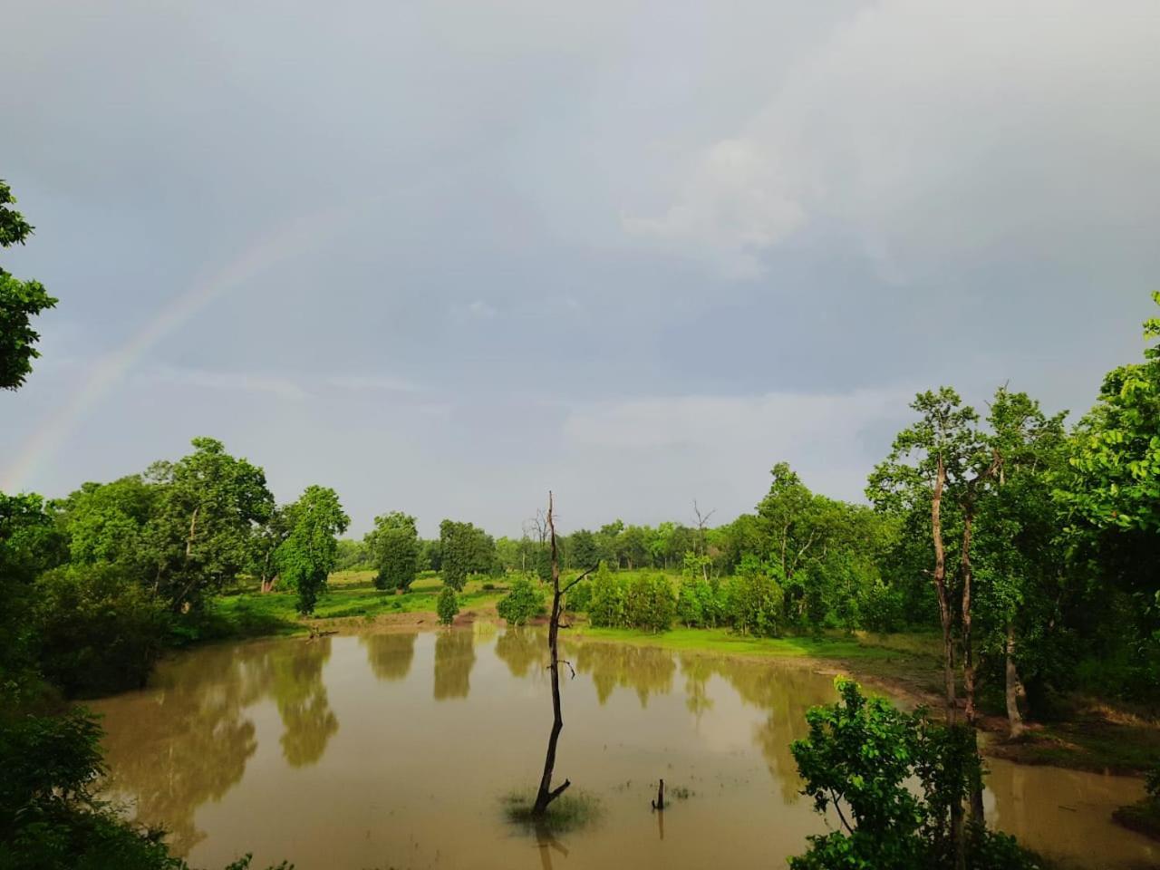 Emerald Tiger Retreat Tāla Екстериор снимка